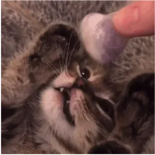 Стикер 💕Стики тут: @sekstick - 6