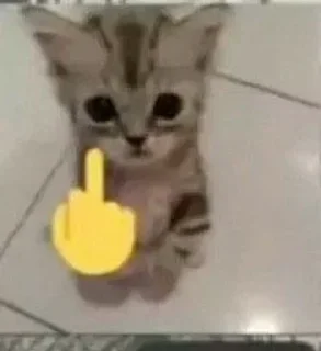 Стикер Больше стикеров 👉🏻 @stickertg4 - 8