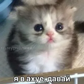 Sticker @sticksbb <— больше стиков💓💘💞 - 10