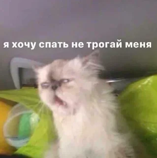 Sticker @sticksbb <— больше стиков💓💘💞 - 0