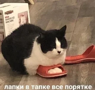 Sticker Больше стикеров: @sticerru - 8