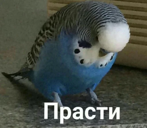 Sticker Стики 6154 из @Anonymnyi_chat_bot - 10