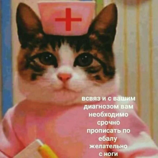 Sticker Стики 6154 из @Anonymnyi_chat_bot - 0