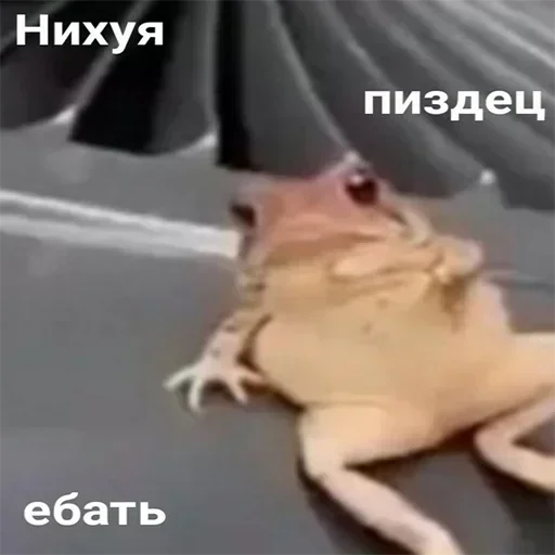 Больше стиков тут: @stickery_stickers - 