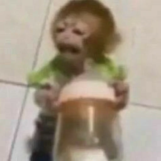 человеческое лицо младенец Человек