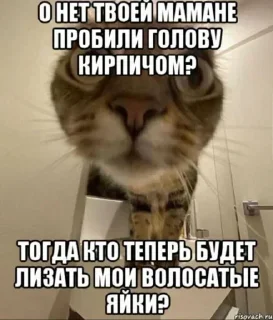 Стикер Создай стикеры в @new_stickerbot - 7