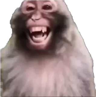 Стикер Мур - 6