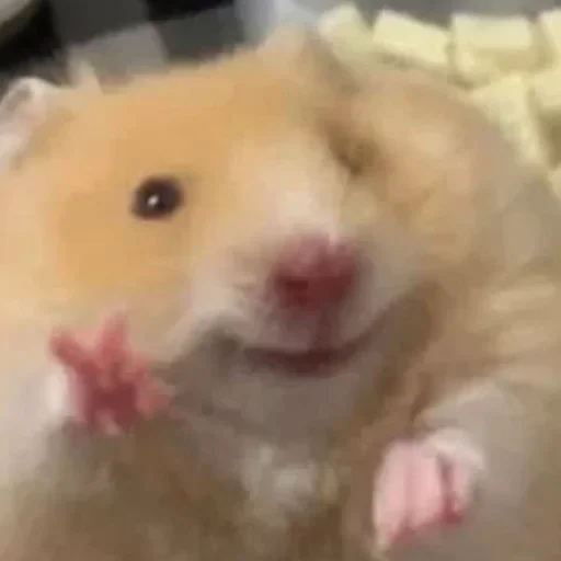 Sticker QbvqWbGXsIKIffmPEM_by_stickers_stealer_bot - 1