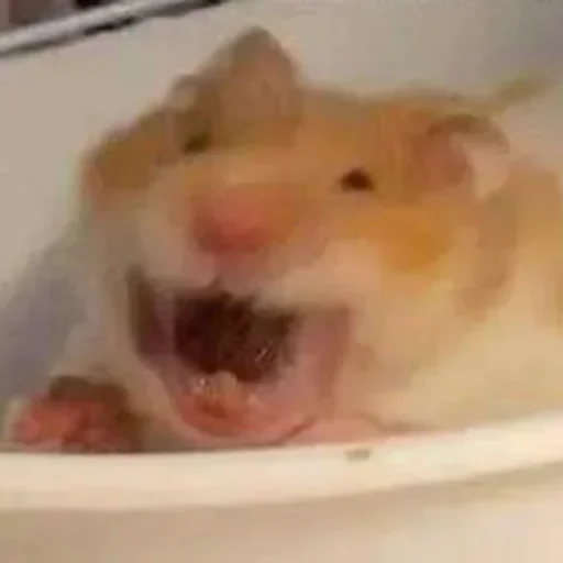 Стикер QbvqWbGXsIKIffmPEM_by_stickers_stealer_bot - 1