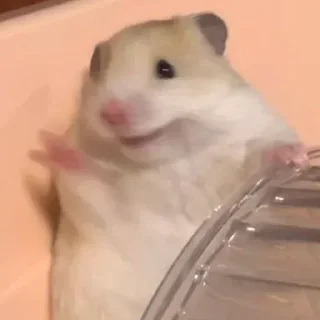 Sticker Больше стикеров 👉🏻 @stickertg4 - 1