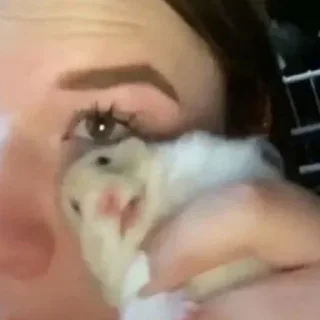 Sticker Больше стикеров 👉🏻 @stickertg4 - 10