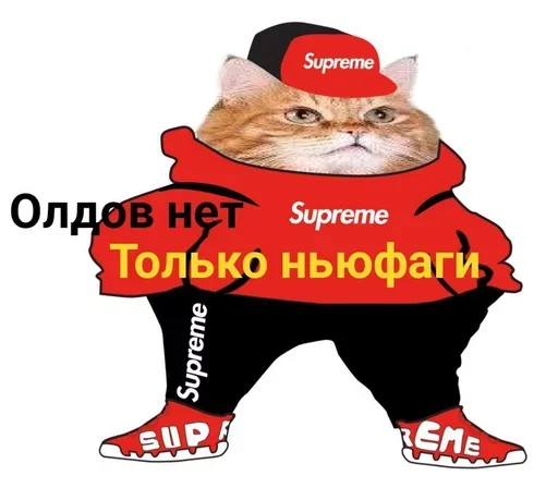 Sticker QcOjpm_by_stickers_stealer_bot - 1