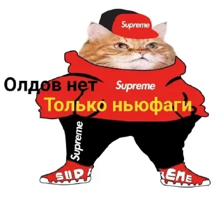 Стикер Больше стикеров 👉🏻 @stickertg4 - 2