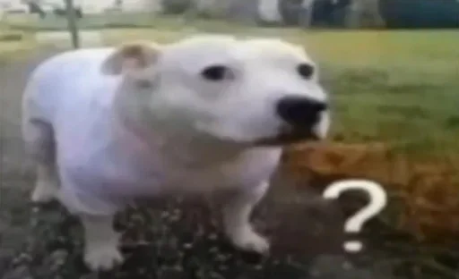 Sticker QgcxrjJ_by_achestickbot - 1