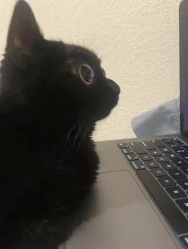 Sticker QgcxrjJ_by_achestickbot - 1