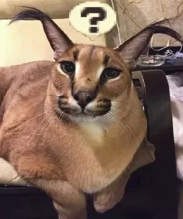 Стикер Больше стиков тут: @stikery4 - 3