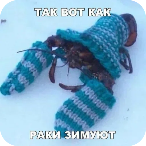 Sticker QidFCRQocjAQsRk_by_stickers_stealer_bot - 1