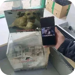 Стикер Лучьше стикеры - @lovesticers - 2