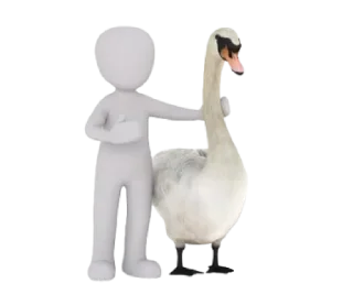 Стикер ㅤㅤ  pixbay ㅤㅤ @qill3o - 8