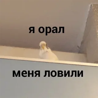 Стикер Больше стикеров 👉🏻 @stickertg4 - 10