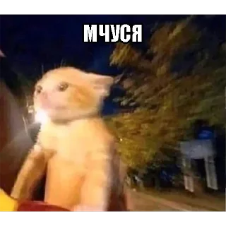 Стикер Больше стикеров 👉🏻 @stickertg4 - 5