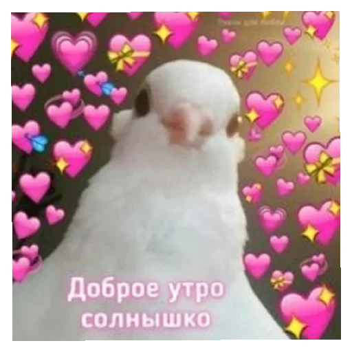 снеговик животное птица