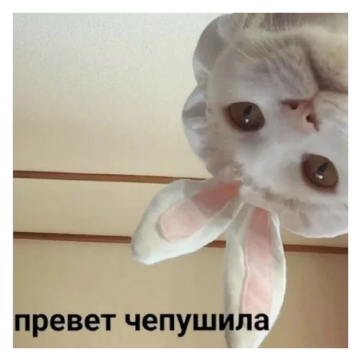 Пососи☺️ - 