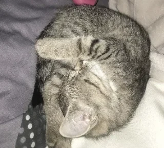 Sticker Больше стикеров 👉🏻 @stickertg4 - 5