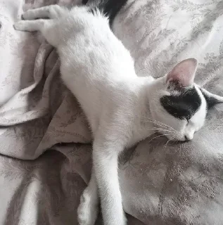 Sticker Больше стикеров 👉🏻 @stickertg4 - 10