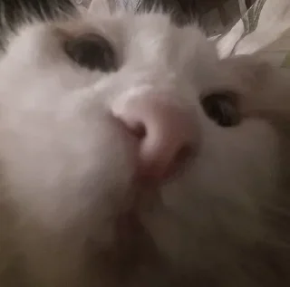 Sticker Больше стикеров 👉🏻 @stickertg4 - 3