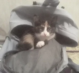 Sticker Больше стикеров 👉🏻 @stickertg4 - 0