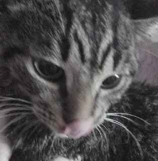 Sticker Больше стикеров 👉🏻 @stickertg4 - 7