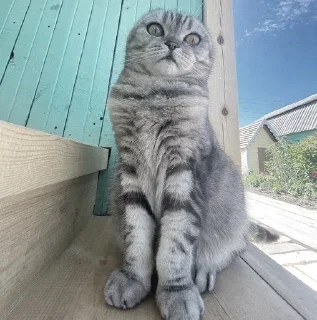 Sticker Больше стикеров 👉🏻 @stickertg4 - 8