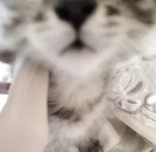 Sticker Больше стикеров 👉🏻 @stickertg4 - 6