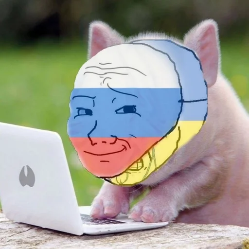 ноутбук компьютер мультфильм