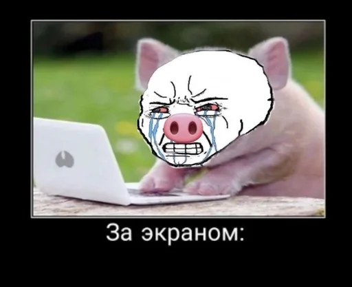 СМС ноутбук млекопитающее