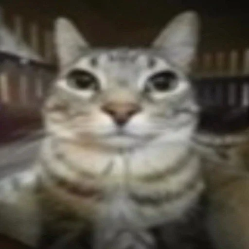 Sticker Quandaledingle7 - 1