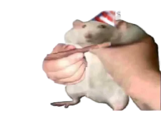 Стикер Quieres @Pulllout Official - 7