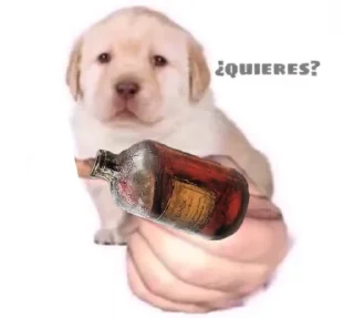 Стикер Quieres @Pulllout Official - 0