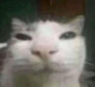 Sticker Больше стиков тут: @stikery4 - 2