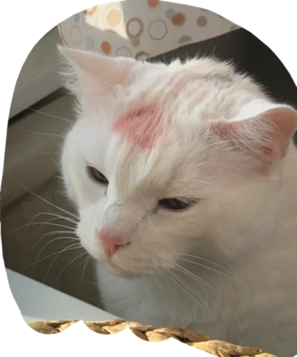 Стикер хихи - 10