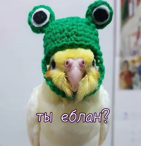 Sticker QwSbKiIT_by_stickers_stealer_bot - 1