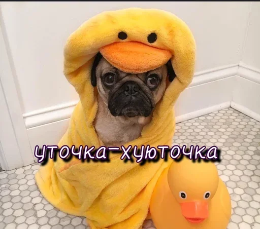 Sticker QwSbKiIT_by_stickers_stealer_bot - 1