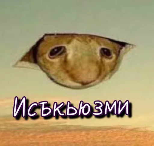 Стикер QwSbKiIT_by_stickers_stealer_bot - 1