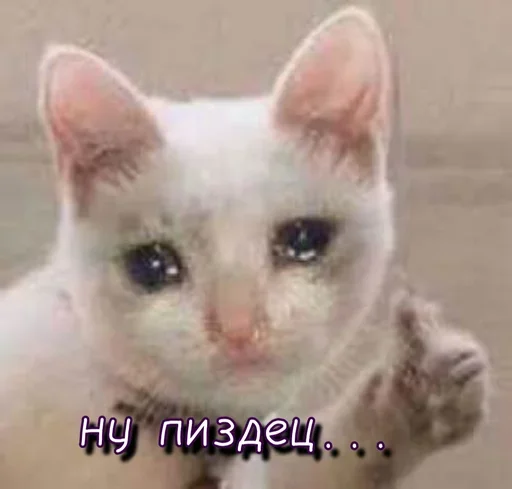 Sticker QwSbKiIT_by_stickers_stealer_bot - 1