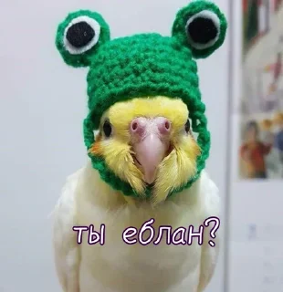 Sticker Больше стикеров 👉🏻 @stickertg4 - 9