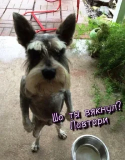 Sticker Больше стикеров 👉🏻 @stickertg4 - 1