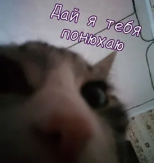 Sticker Больше стикеров 👉🏻 @stickertg4 - 2