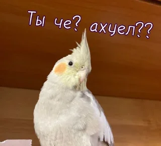 Sticker Больше стикеров 👉🏻 @stickertg4 - 10