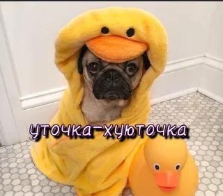 Sticker Больше стикеров 👉🏻 @stickertg4 - 7